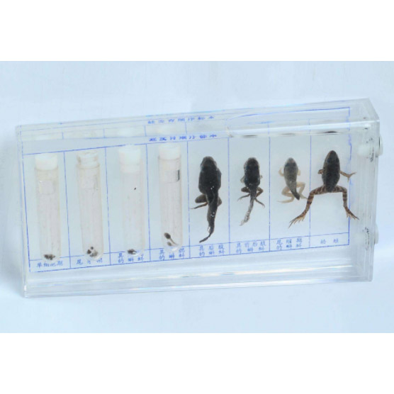 43053�ܰl�����˱�