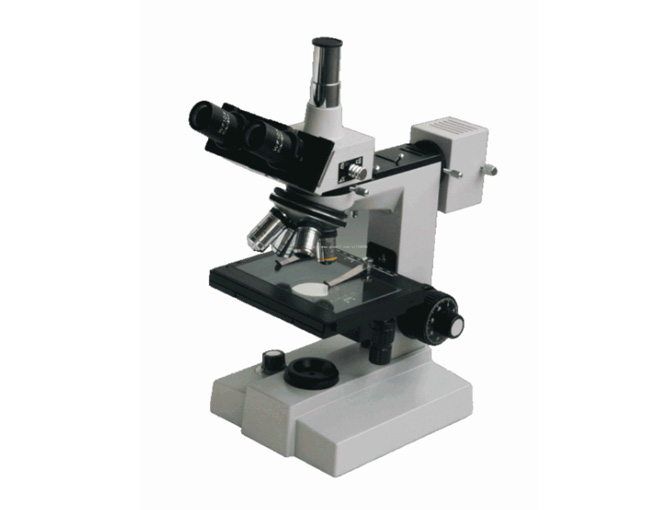 02042��(sh��)�a�@΢�R