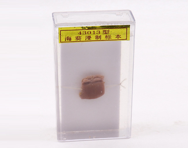 �����˱�