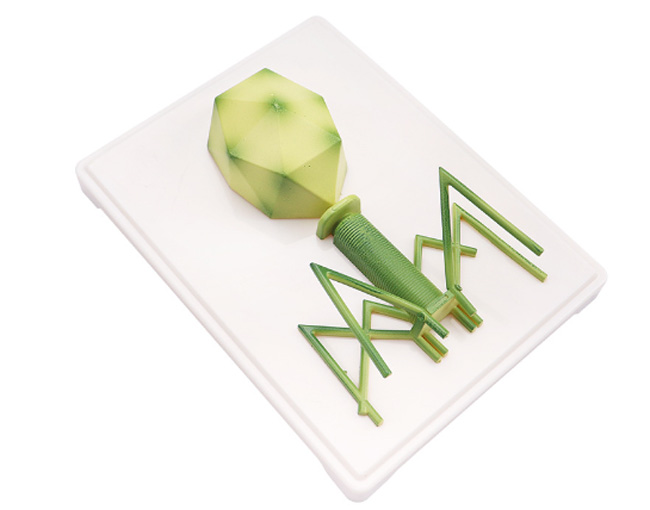 ����ģ��