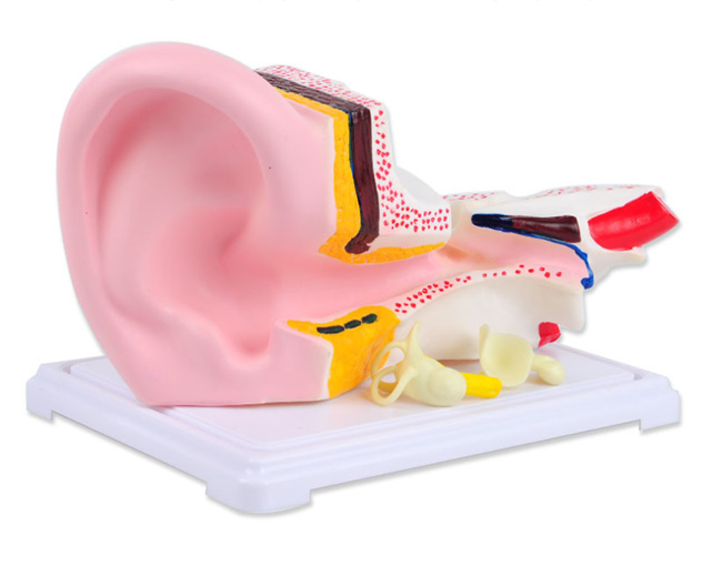 33212������ģ��