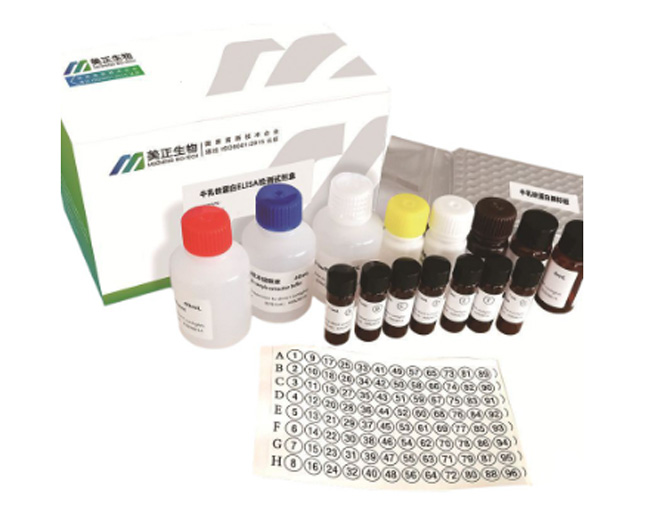 ��������ԇ����