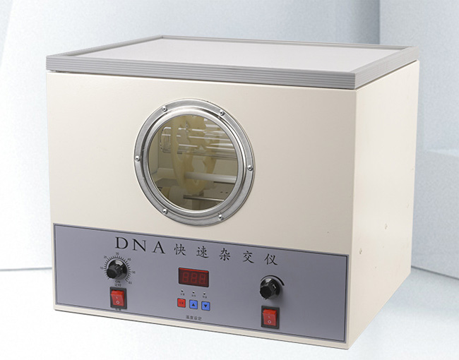 DNA�����s���x