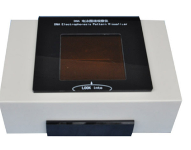 DNA�Ӿ�D�V�^��x