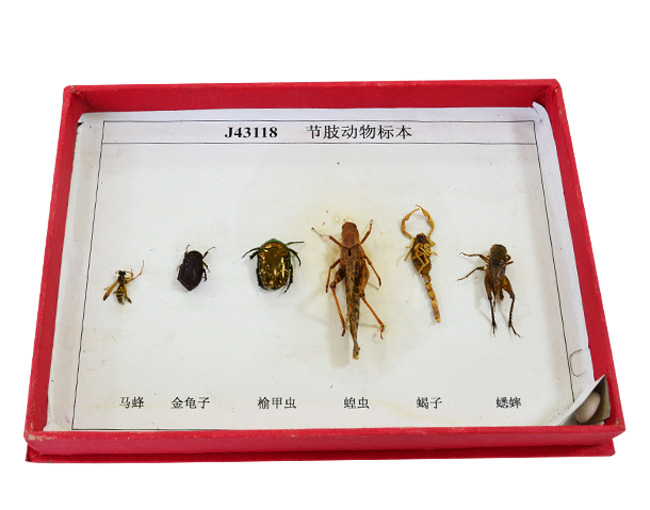 43118��(ji��)֫�����(bi��o)��